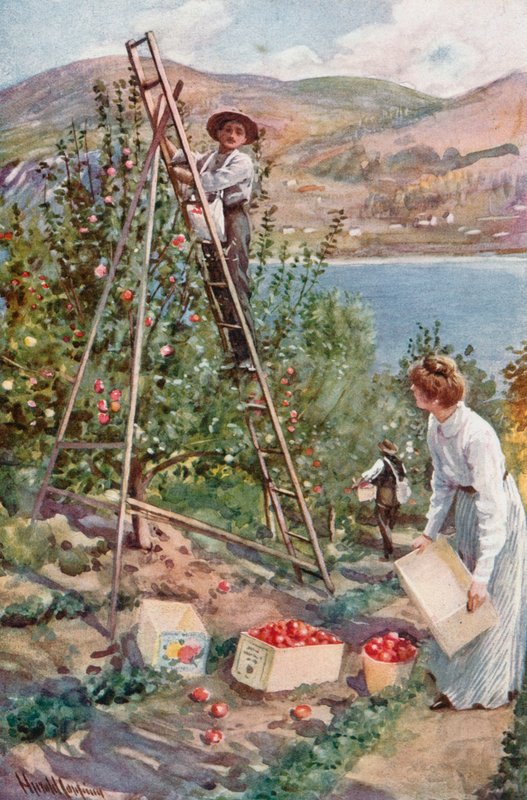 Um rancho de frutas em Nelson, British Columbia de Harold Copping