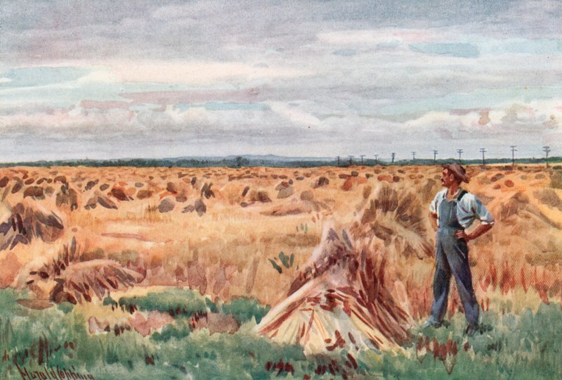 Ao longo dos campos de Wheet de Manitoba de Harold Copping