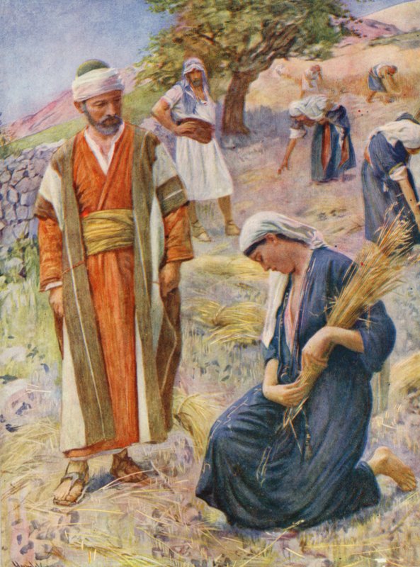 Antigo Testamento: Rute respigava no campo (litografia a cores) de Harold Copping