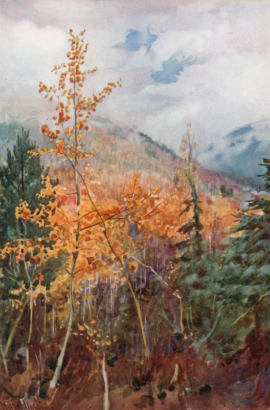 Em um lado da montanha perto de Nelson, British Colombia de Harold Copping