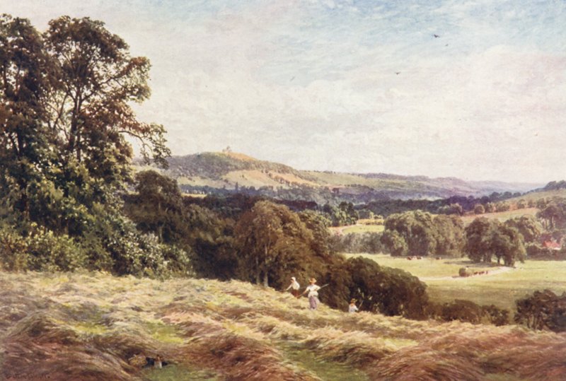 A Hayfield, Wonersh (litografia a cores) de Harold Sutton Palmer