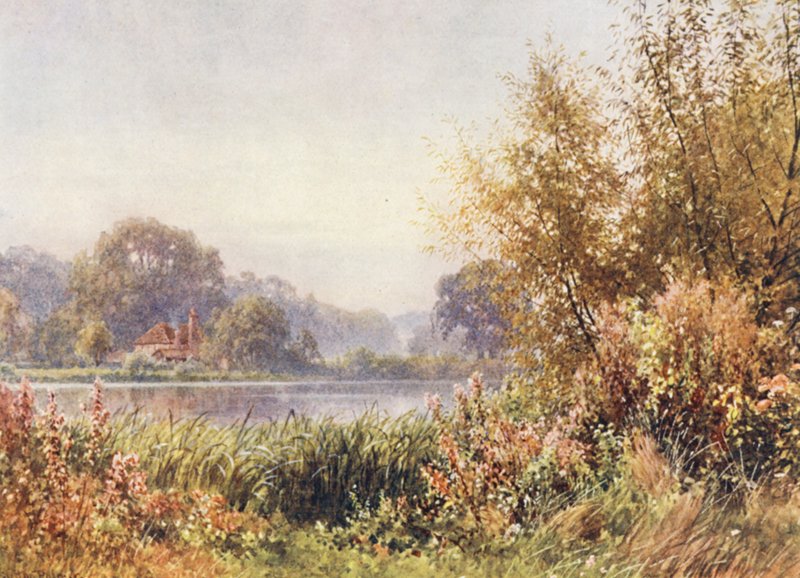 Ervas daninhas de outono, Chilworth (litografia a cores) de Harold Sutton Palmer