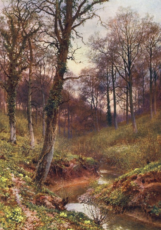 Evening Solitude, Ockley (litografia a cores) de Harold Sutton Palmer