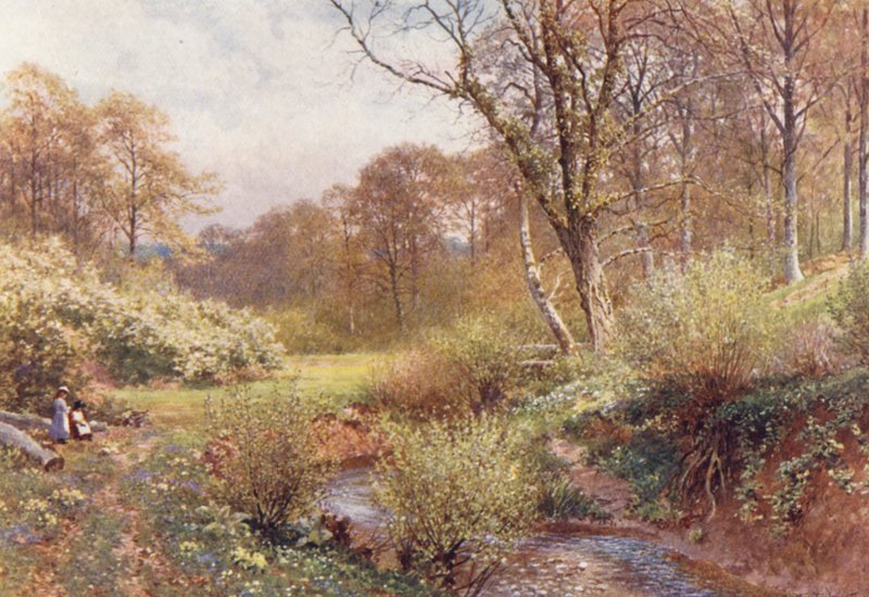 Em Spring Woods, Ockley (litografia a cores) de Harold Sutton Palmer