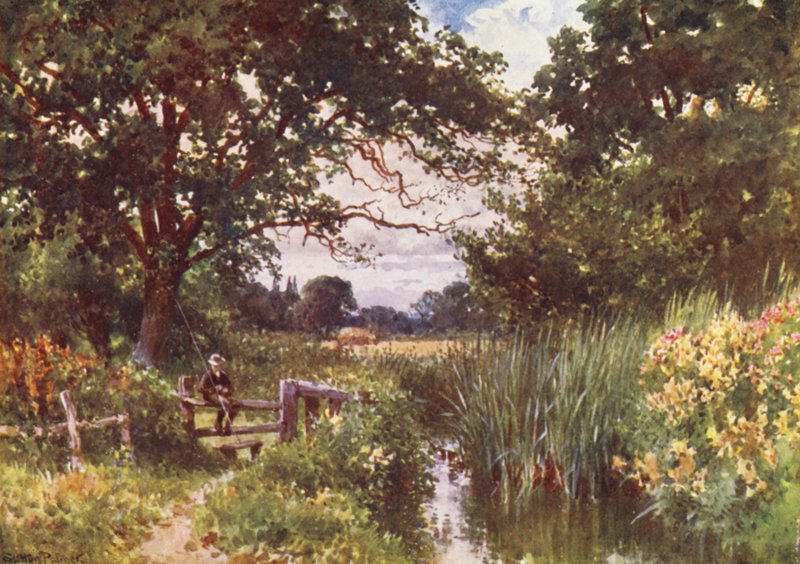 Perto de Chobham (litografia a cores) de Harold Sutton Palmer