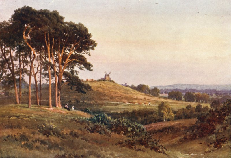 Reigate Heath, à noite (litografia a cores) de Harold Sutton Palmer