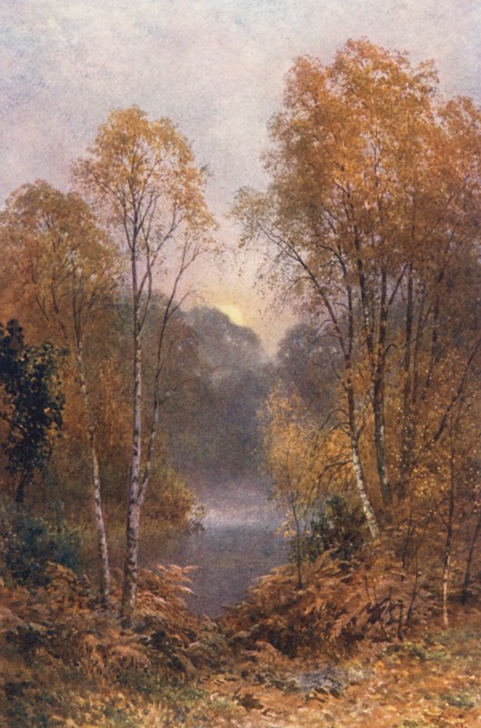 A Lua de outono (litografia a cores) de Harold Sutton Palmer