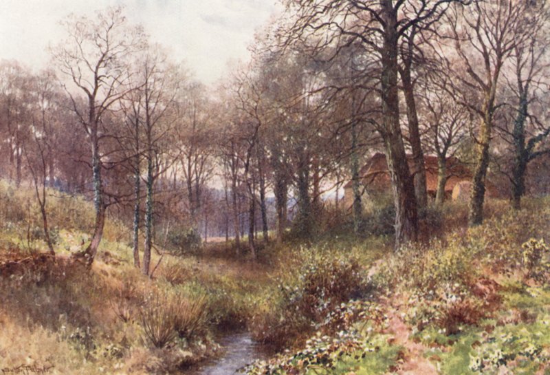 The Farm midst the Woods, perto de Haslemere (litografia a cores) de Harold Sutton Palmer