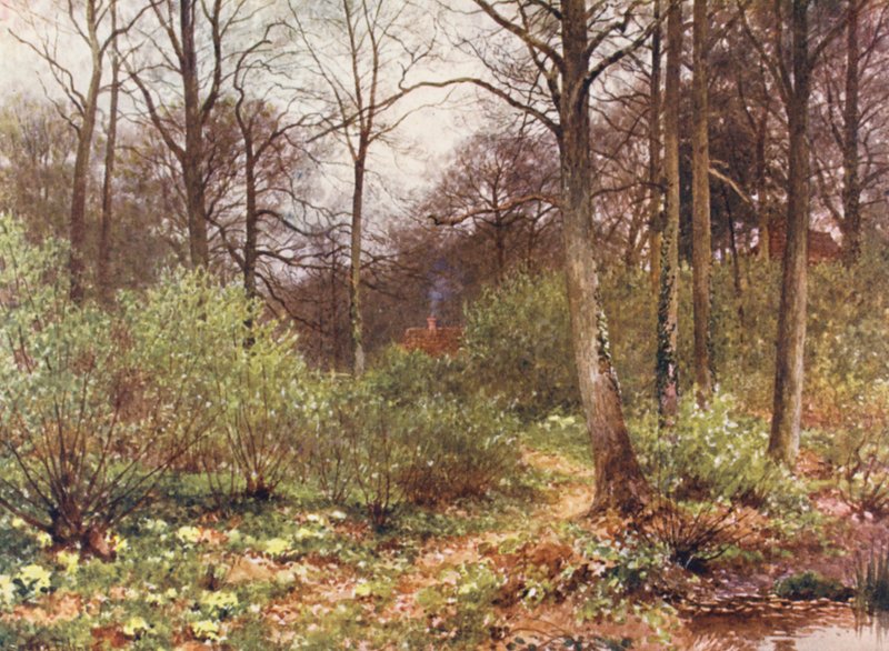 A casota do guarda-caça (litografia a cores) de Harold Sutton Palmer