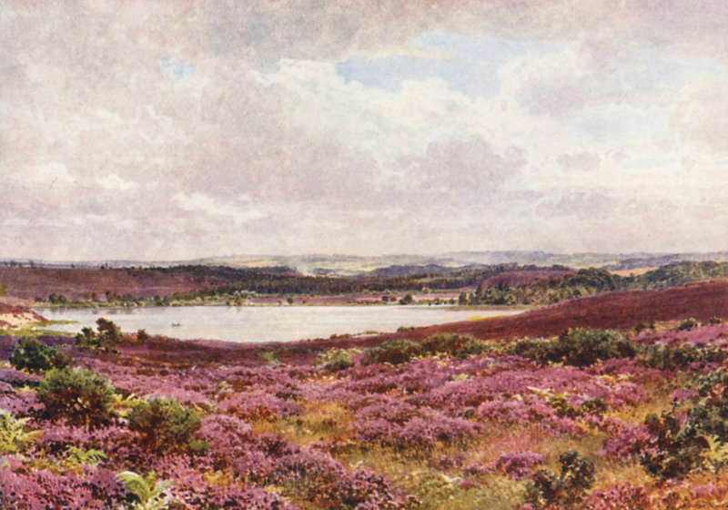 O Grande Lago, Frensham (litografia a cores) de Harold Sutton Palmer