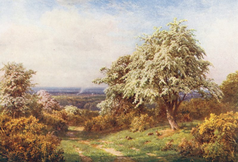 O orgulho da primavera, Newlands Corner (litografia a cores) de Harold Sutton Palmer