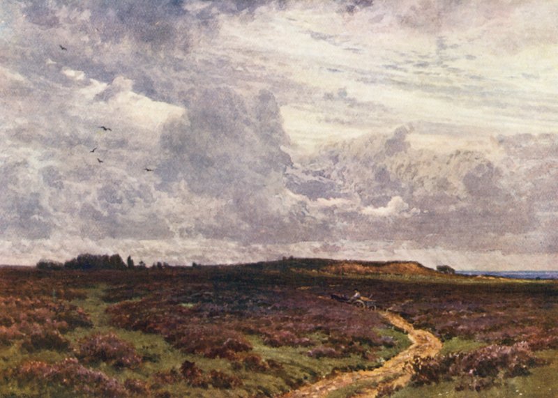 The Sandy Road, Milford Heath (litografia a cores) de Harold Sutton Palmer