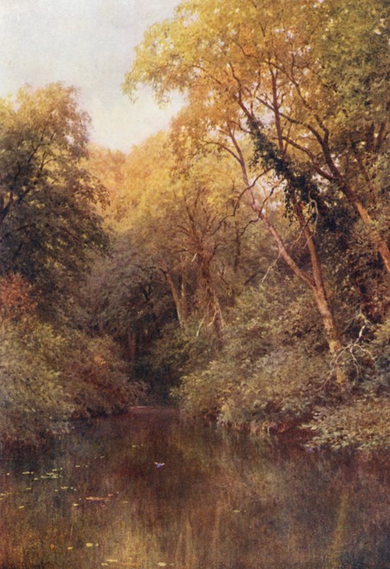 The Silent Pool, Albury (litografia a cores) de Harold Sutton Palmer