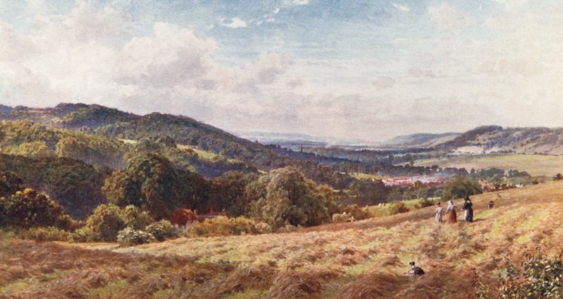 O Vale de Dorking (litografia a cores) de Harold Sutton Palmer