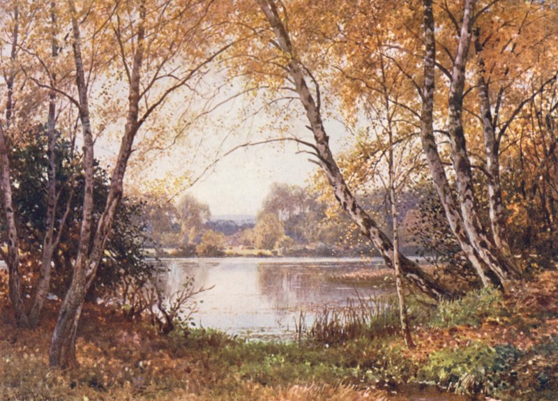 A margem da lagoa, Royal Common (litografia a cores) de Harold Sutton Palmer