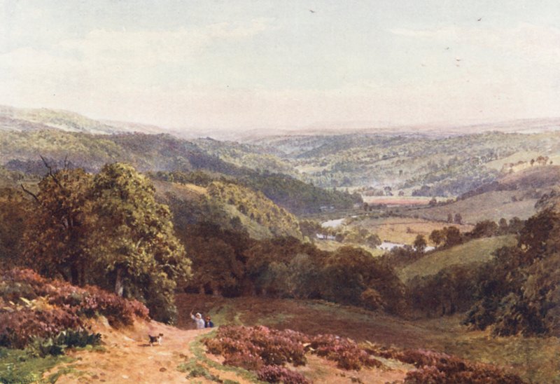 Vale de Albury, a partir de St Martha
