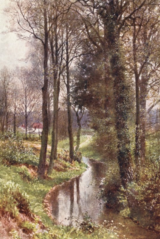 Water Lane, perto de East Horsley (litografia a cores) de Harold Sutton Palmer