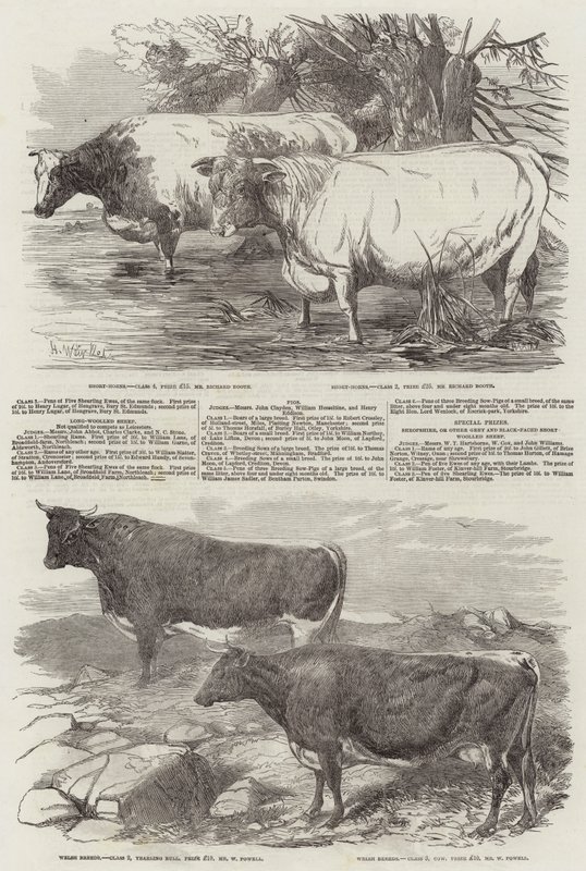 Exposição da Real Sociedade Agrícola da Inglaterra de Harrison William Weir