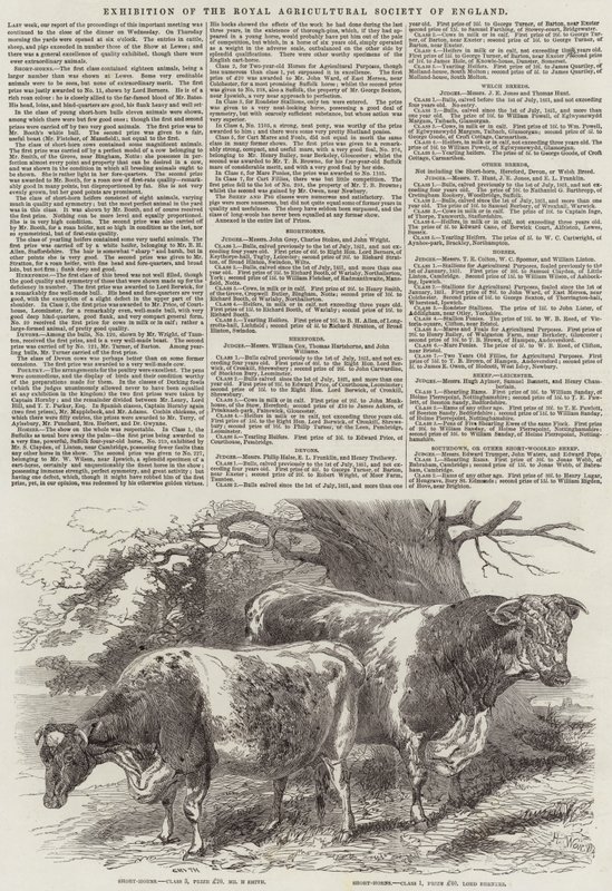 Exposição da Real Sociedade Agrícola da Inglaterra de Harrison William Weir
