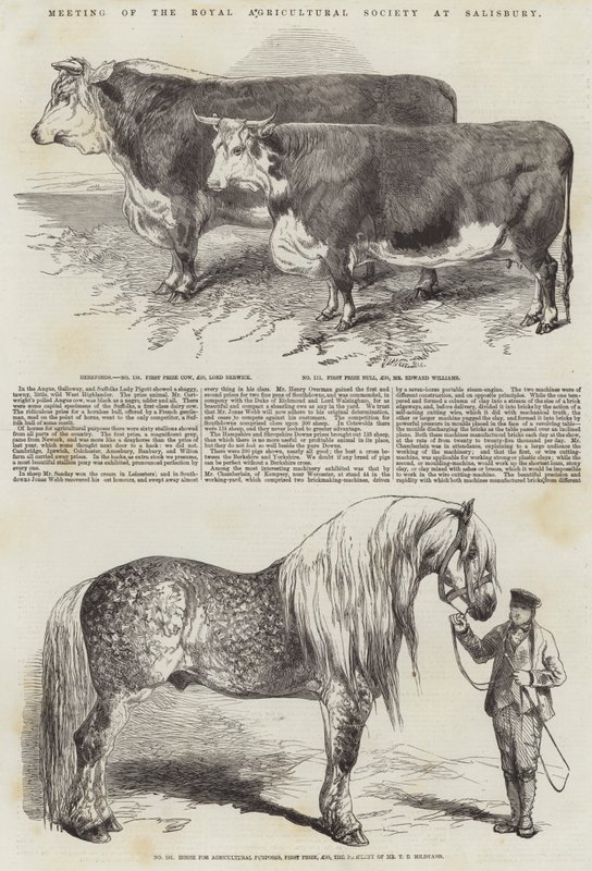 Reunião da Royal Agricultural Society em Salisbury de Harrison William Weir
