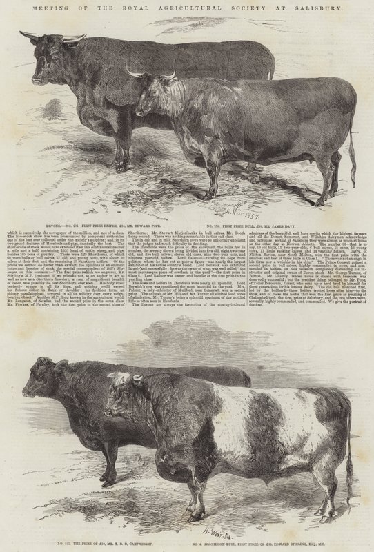Reunião da Royal Agricultural Society em Salisbury de Harrison William Weir