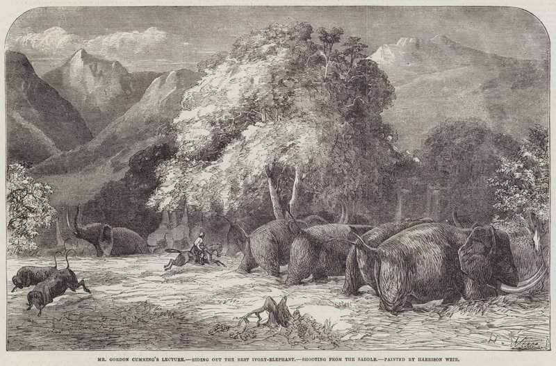 Palestra do Sr. Gordon Cumming, montando o Melhor Elefante Marfim, atirando da Sela de Harrison William Weir