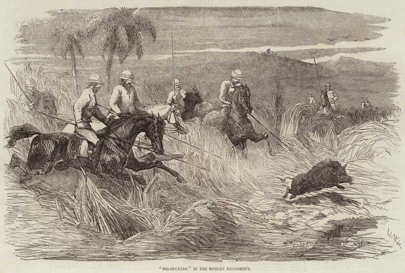 Pig-Sticking na Presidência de Bombaim de Harrison William Weir