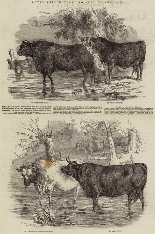 Sociedade Real Agrícola da Inglaterra de Harrison William Weir