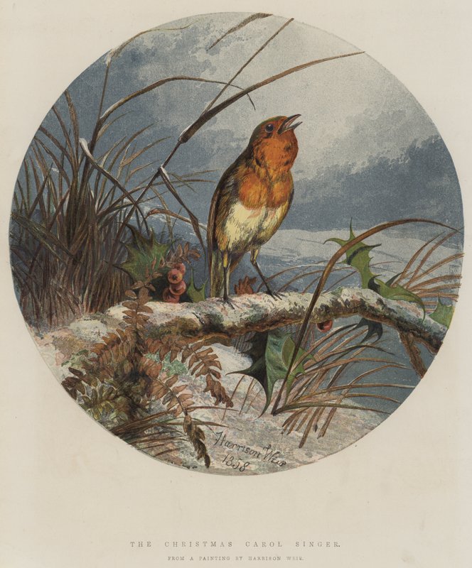 O Cantor de Natal Carol (chromolitho) de Harrison William Weir