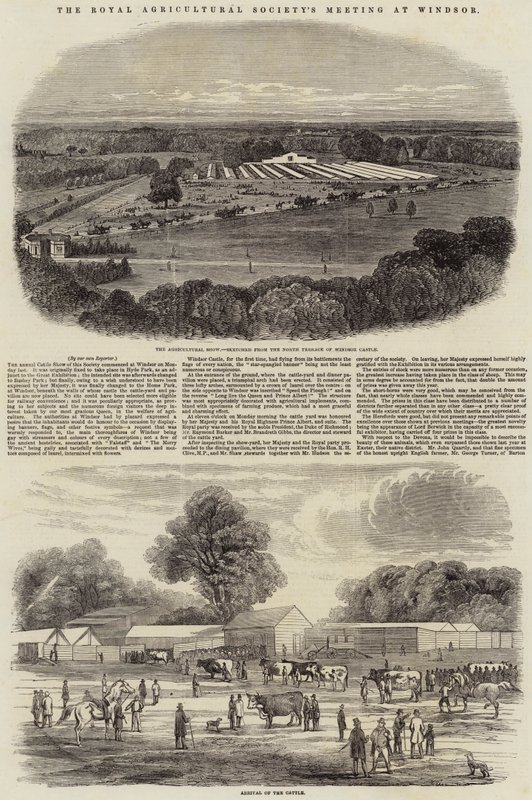 Reunião da Royal Agricultural Society em Windsor de Harrison William Weir