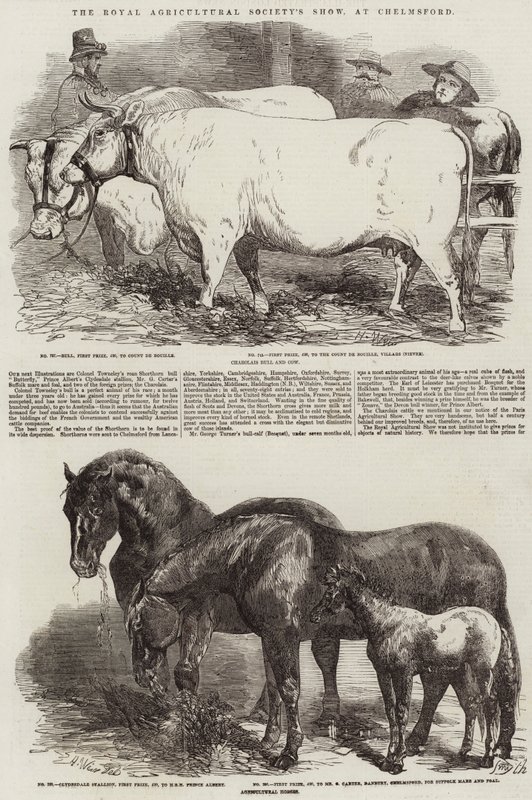 Show da Royal Agricultural Society, em Chelmsford de Harrison William Weir