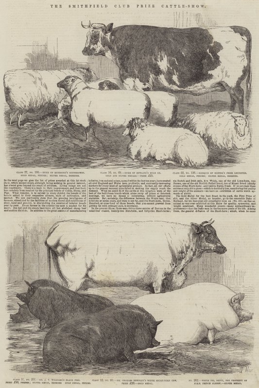 O Show de gado do Smithfield Club Prize de Harrison William Weir