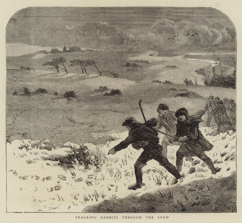 Rastreando coelhos pela neve de Harrison William Weir
