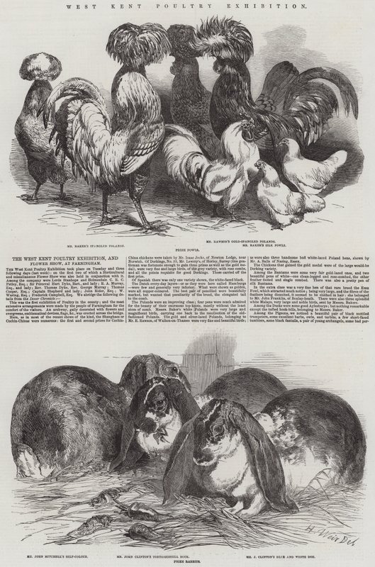 Exposição West Kent Poultry de Harrison William Weir
