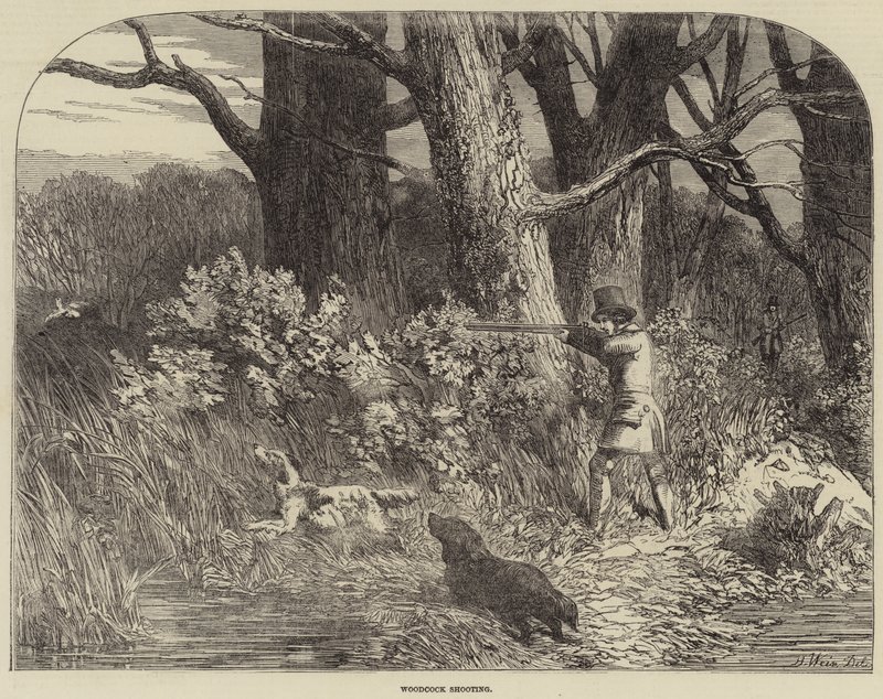 Tiro de galinhola de Harrison William Weir