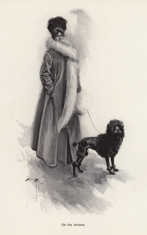 Mulher de casaco comprido com um poodle (litho) de Harrison Fisher