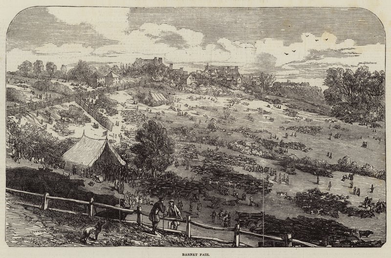 Barnet Fair de Harrison William Weir