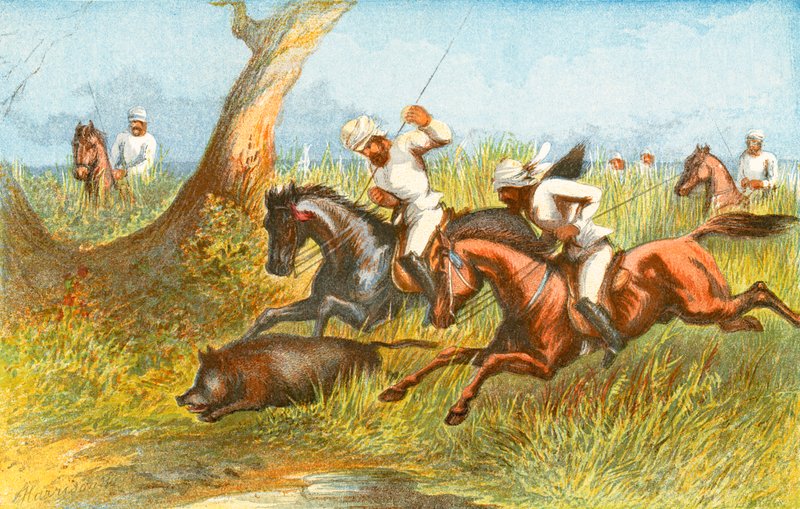 Javali - &39;finalmente conquistado&39; de Harrison William Weir