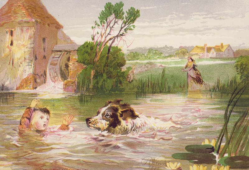 O cão que salva a vida de Charley (litografia a cores) de Harrison William Weir