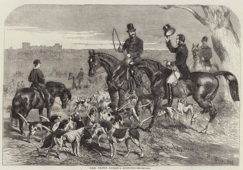 HRH Prince Albert&39;s Harriers de Harrison William Weir
