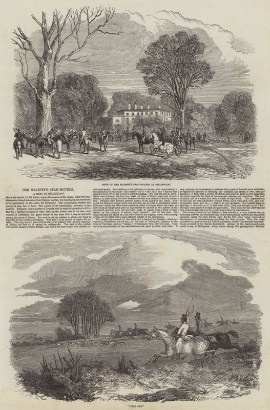 Os Cães de Veado de Sua Majestade em Hillingdon de Harrison William Weir