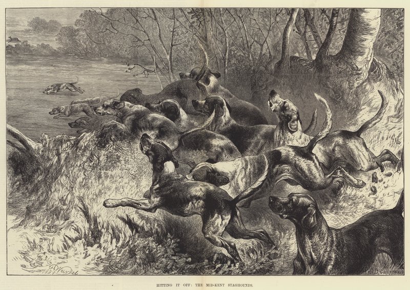 Acertando, o Mid-Kent Staghounds de Harrison William Weir