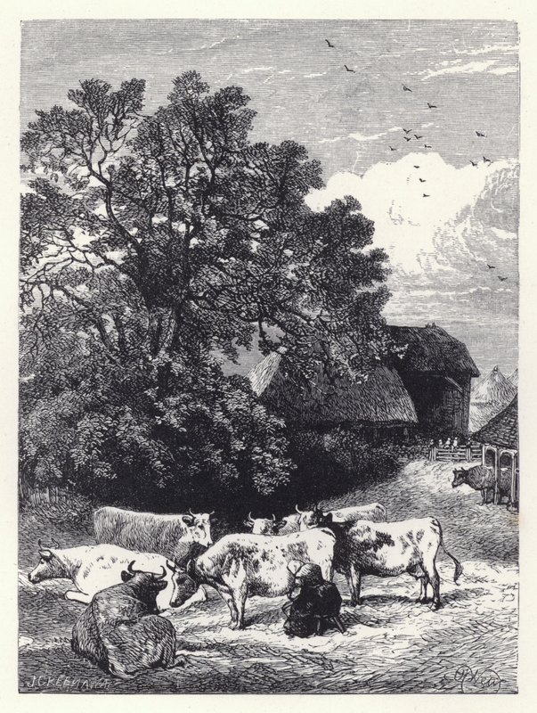 Ordenhar as vacas (gravura) de Harrison William Weir