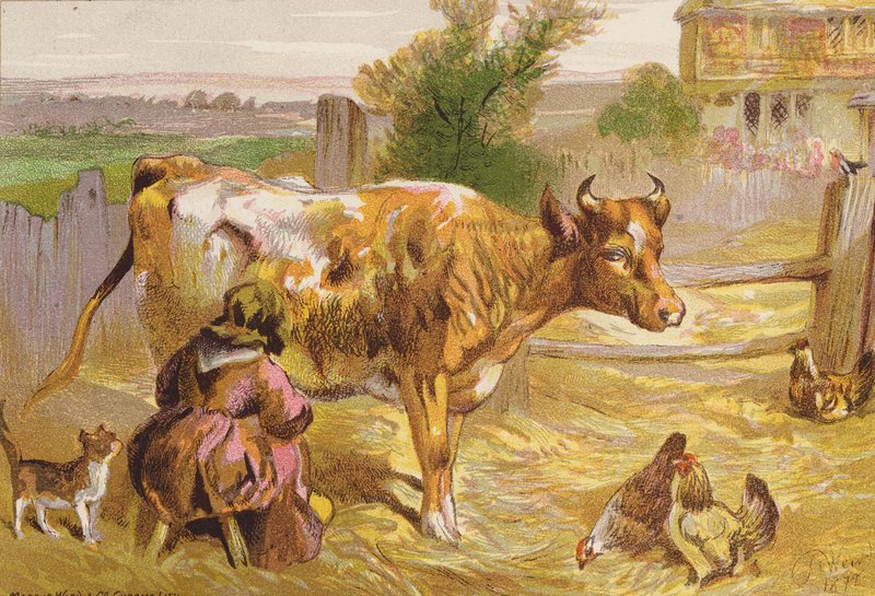 A velha Nancy a ordenhar a vaca (litografia a cores) de Harrison William Weir