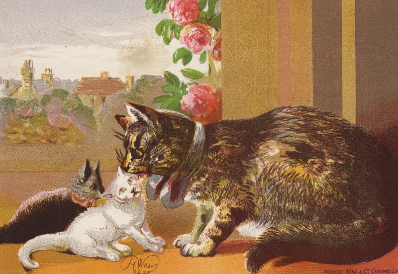 Gato e os seus gatinhos (litografia a cores) de Harrison William Weir