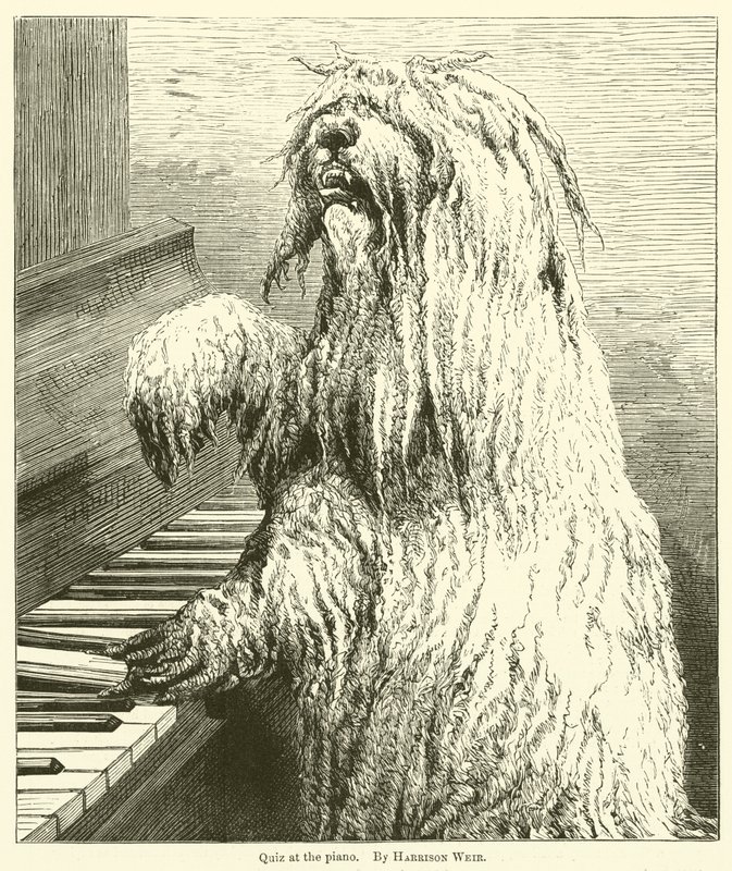 Quiz no piano de Harrison William Weir