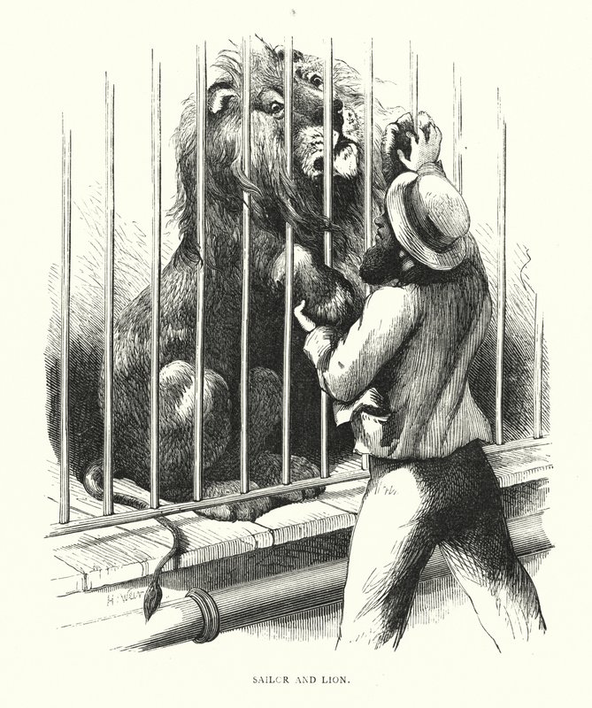 Marinheiro e leão (gravura) de Harrison William Weir