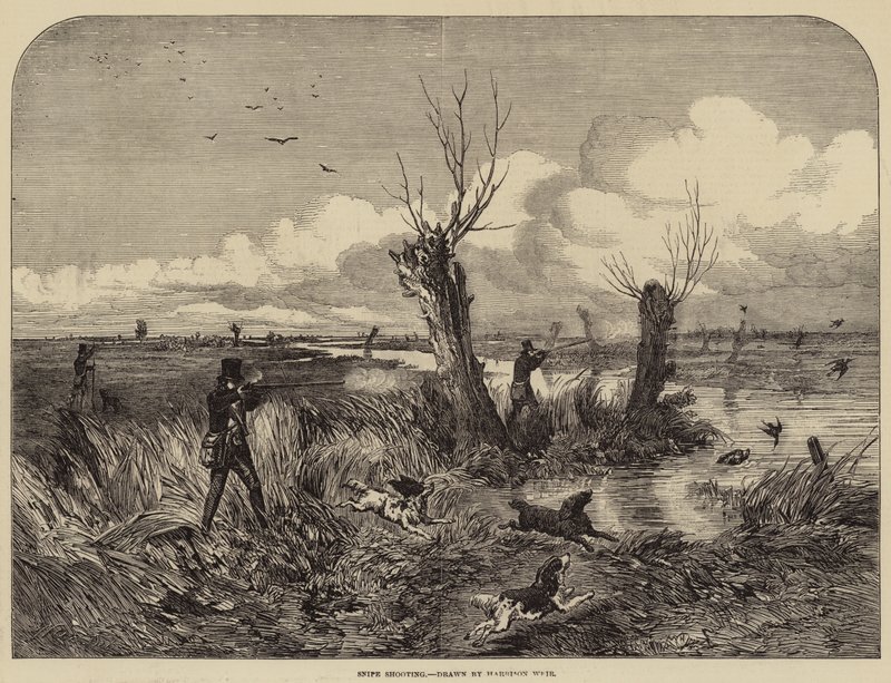 Snipe Tiroteio de Harrison William Weir
