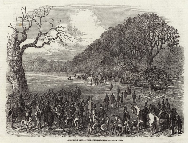 Reunião de Coursing do Spelthorne Club de Harrison William Weir