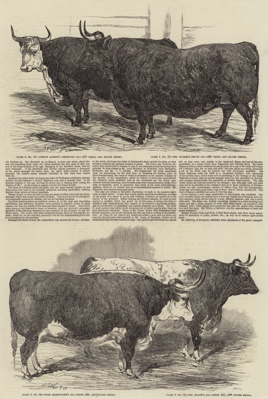 A Exposição Anual do Smithfield Club de Harrison William Weir